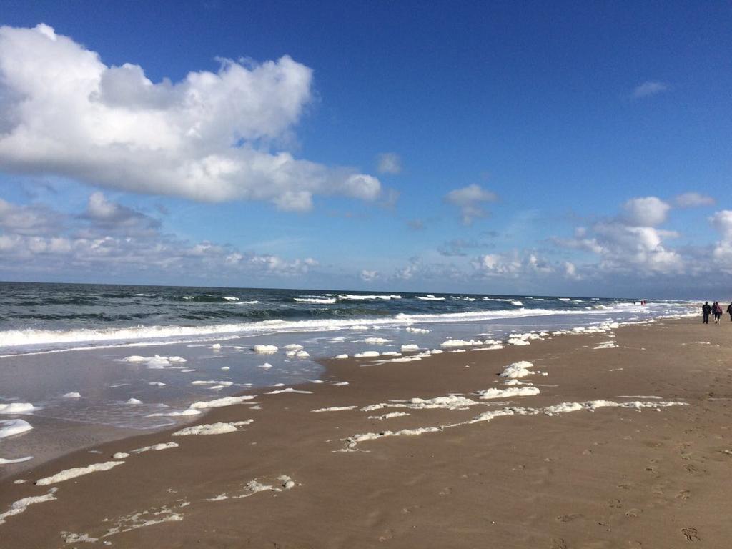 Beachvibes Egmond aan Zee Bagian luar foto